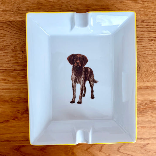 Großer Aschenbecher – Kleiner Münsterländer