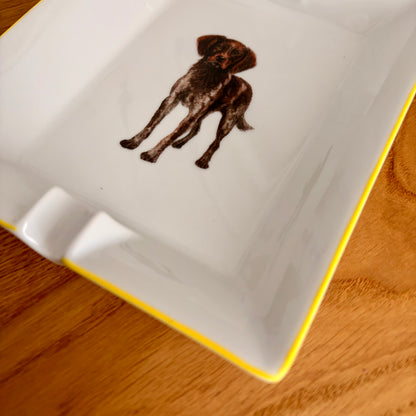 Großer Aschenbecher – Kleiner Münsterländer